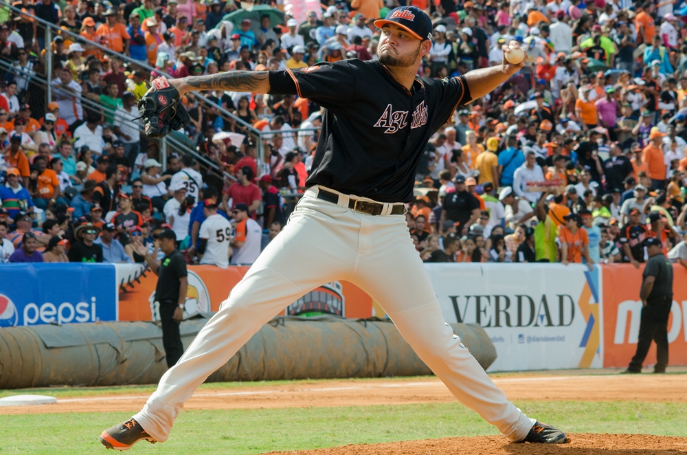 Elvis Araujo. 2