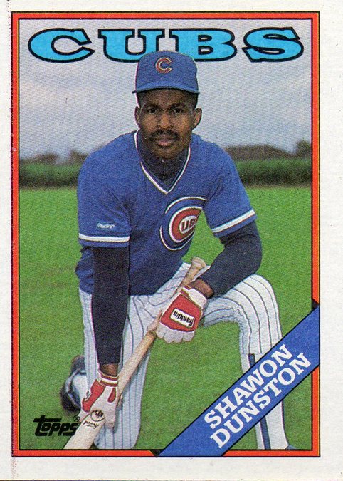 Shawon Duston